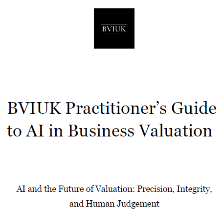 BVIUK Practitioner’s Guide to AI in Business Valuation